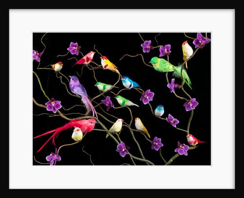 Fake birds on branches by Assaf Frank